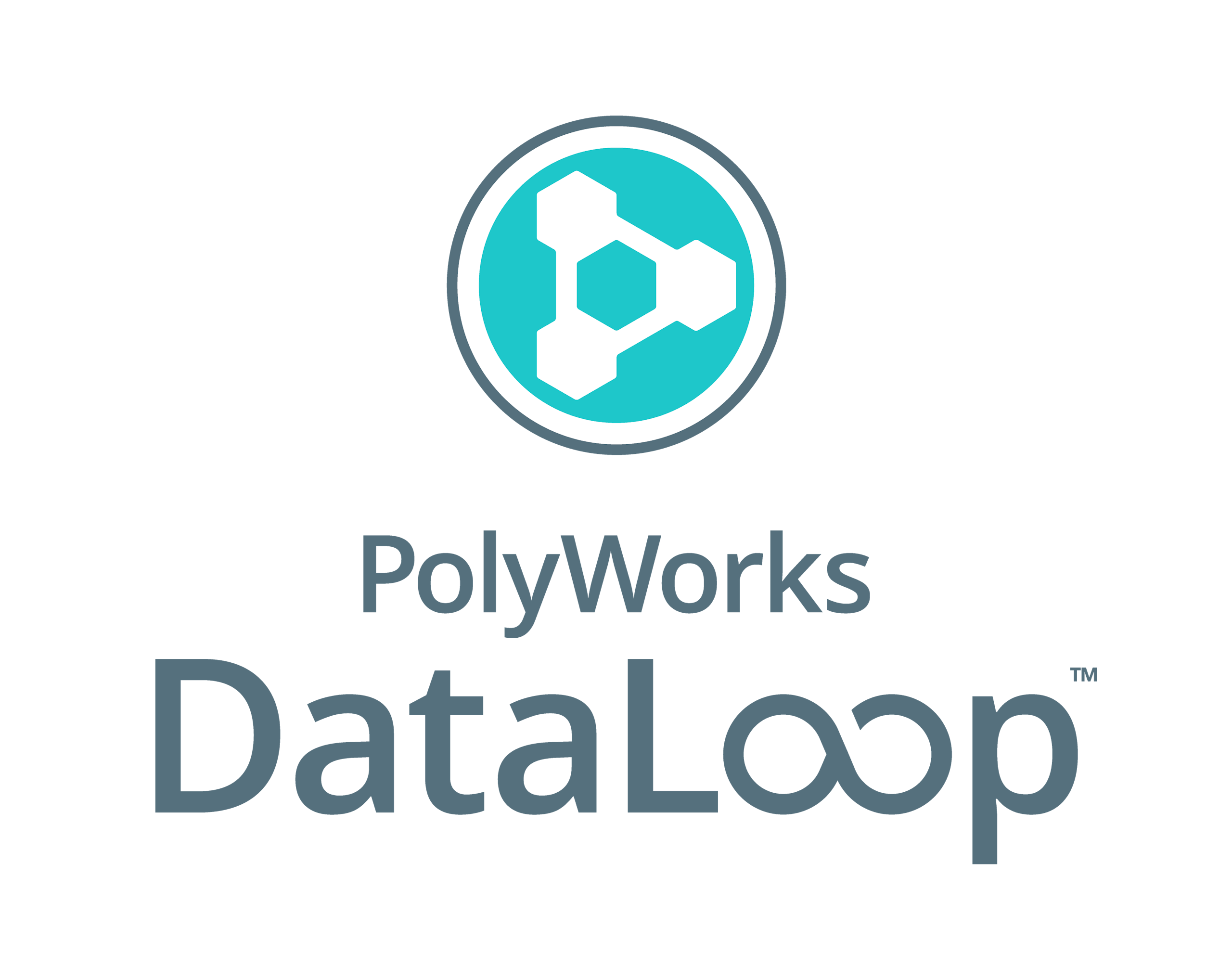 Polyworks DataLoop | TOPMES s.r.o.