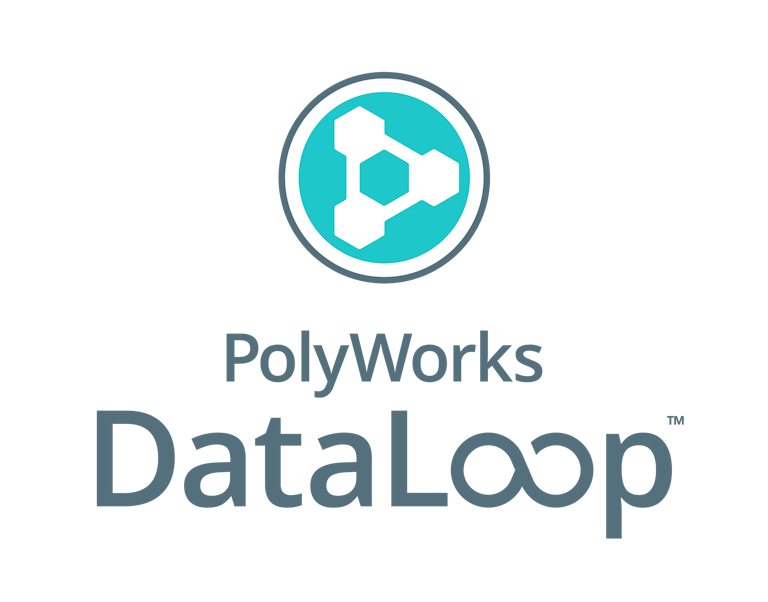 Polyworks DataLoop