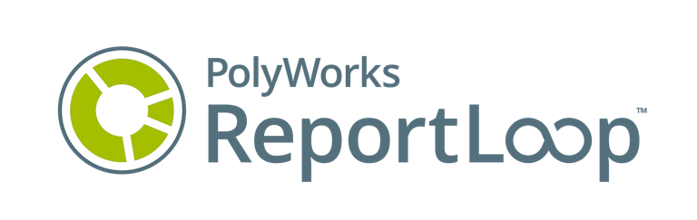 Polyworks ReportLoop